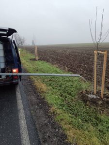 Městys Cerhenice vysadil na posledních 10 let 1200 stromů